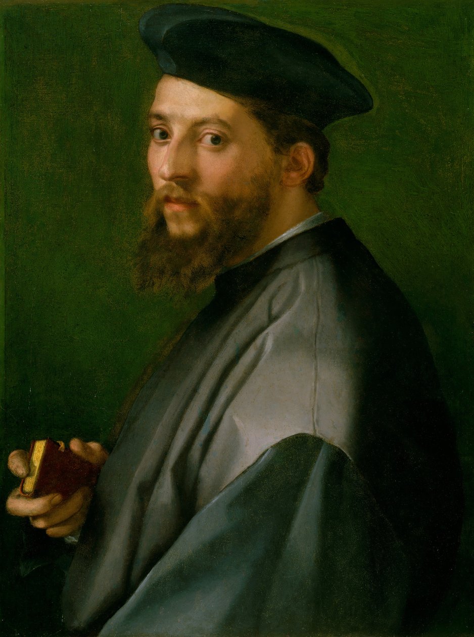 Portrét muže, 1528-30. od Andrea del Sarto