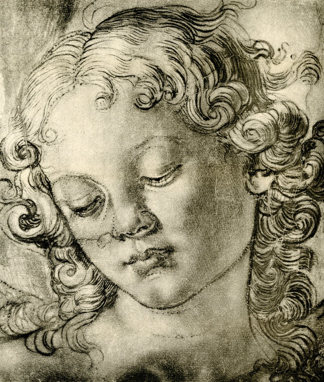 Andělská hlava od Andrea del Verrocchio