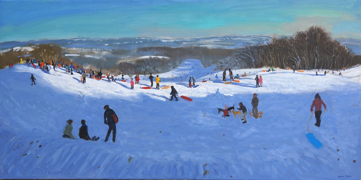 Allestree Park Derby, 2013 od Andrew Macara