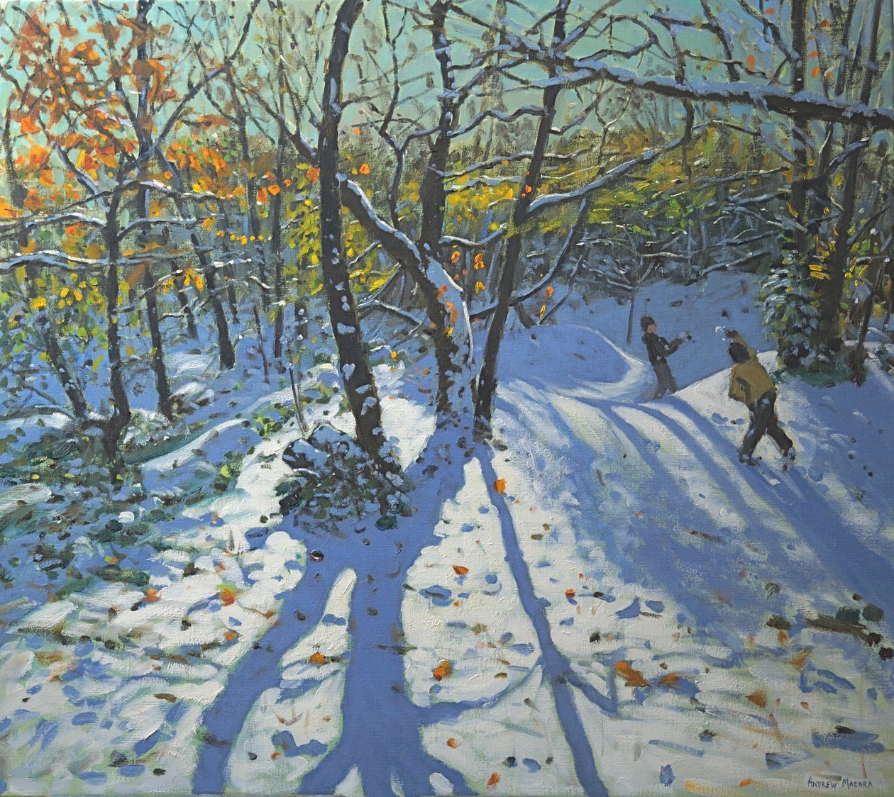 Allestree Park Woods listopad 2010 od Andrew Macara