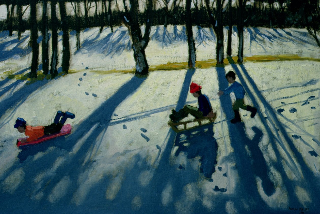Chlapecké sáňkování, Allestree Park, Derby od Andrew Macara