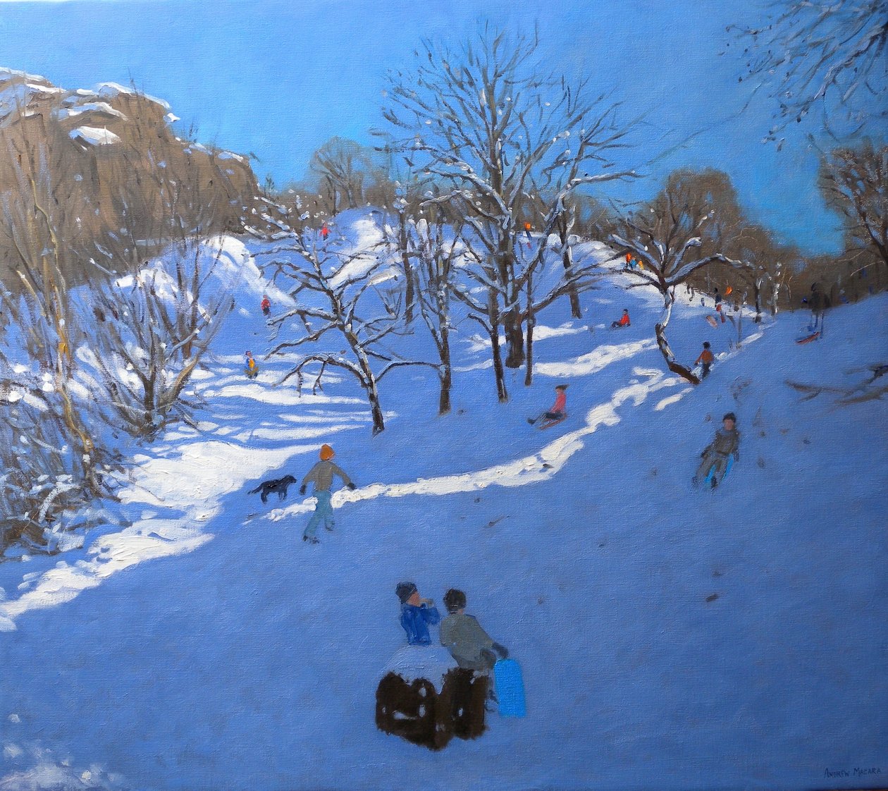 Jasné ráno v Black Rocks, Derbyshire, 2009 od Andrew Macara