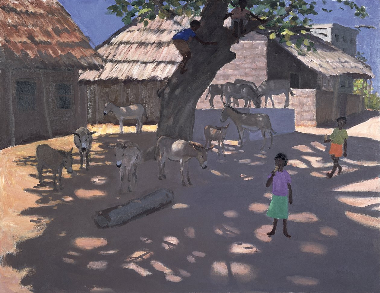 Osli, Lamu, Keňa, 1995 od Andrew Macara