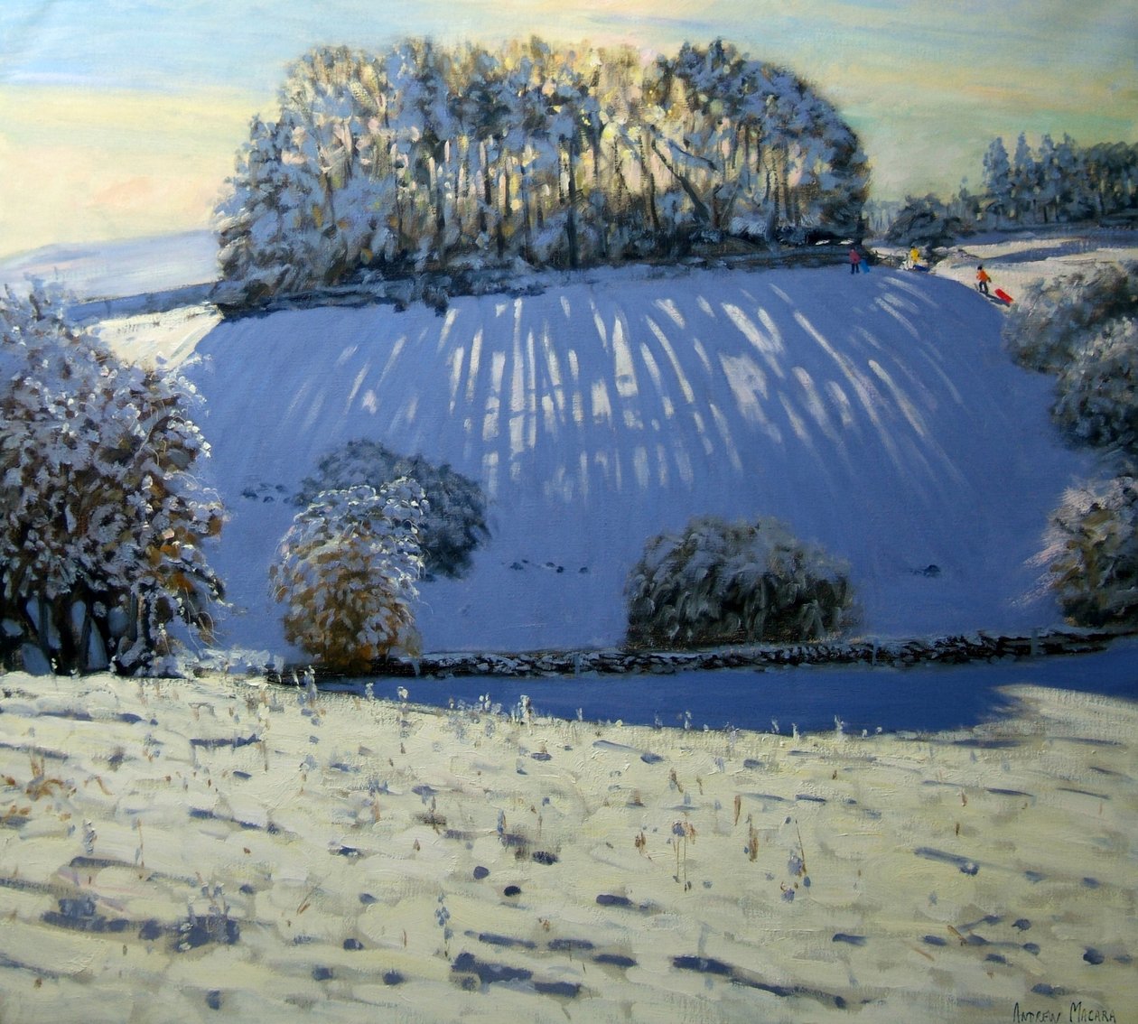 Pole stínů, poblíž Youlgrave, Derbyshire od Andrew Macara