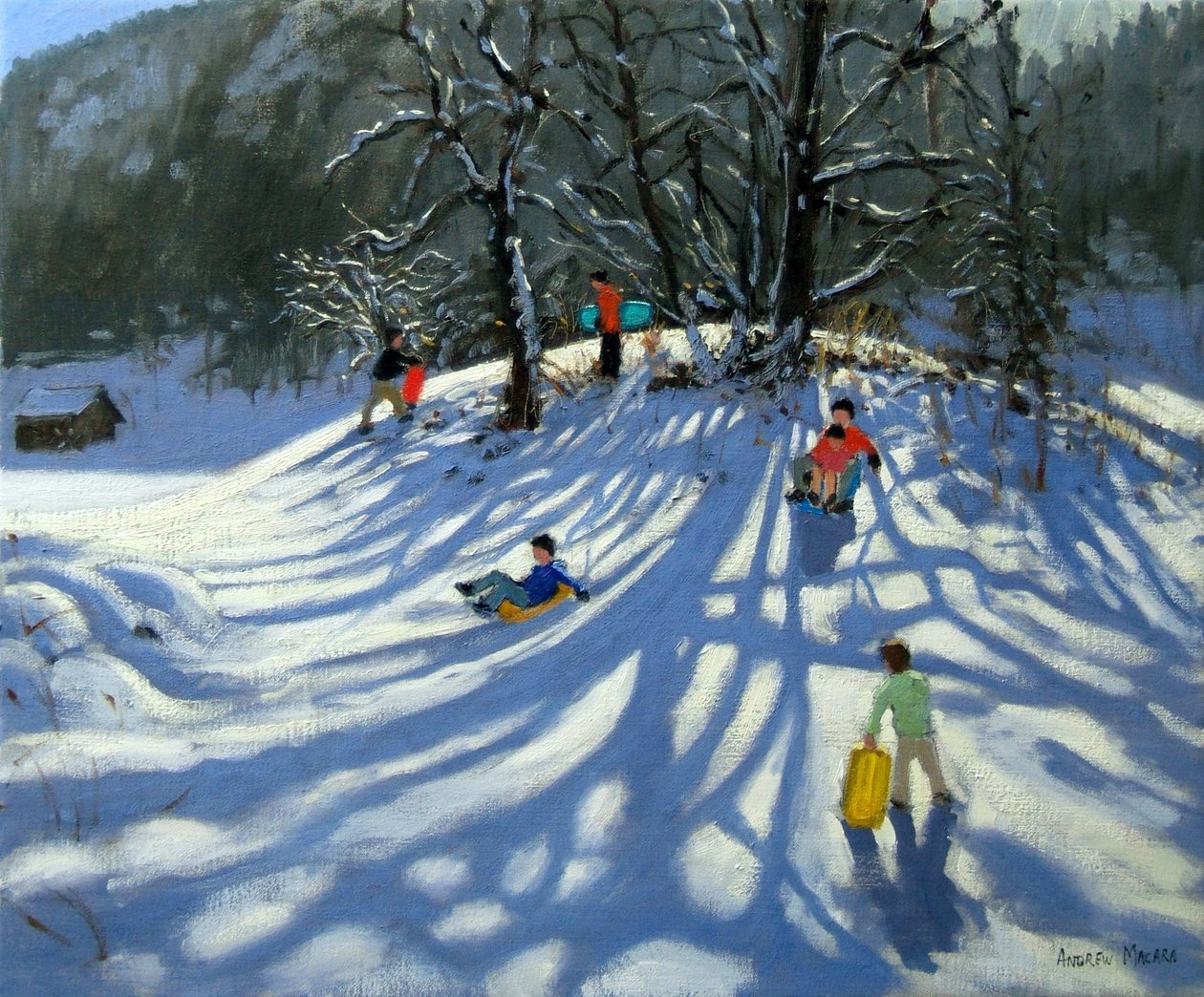 Zábava na sněhu, Morzine, Francie od Andrew Macara