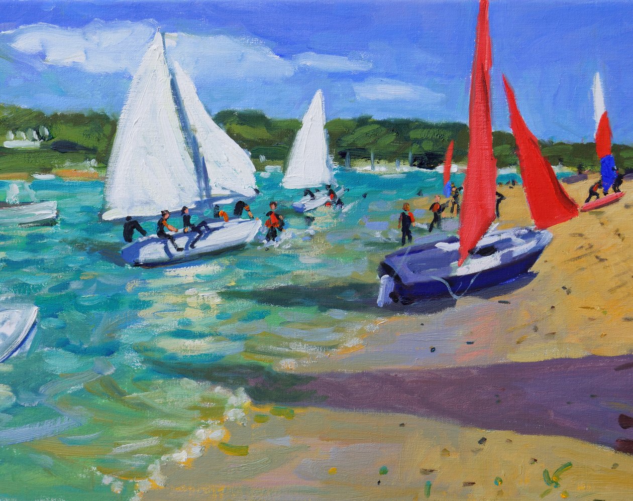 Plachetnice, Salcombe, od Andrew Macara