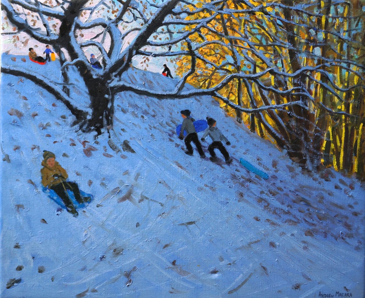 Sáňkování na golfovém hřišti Allestree (3. jamka) 2014 od Andrew Macara