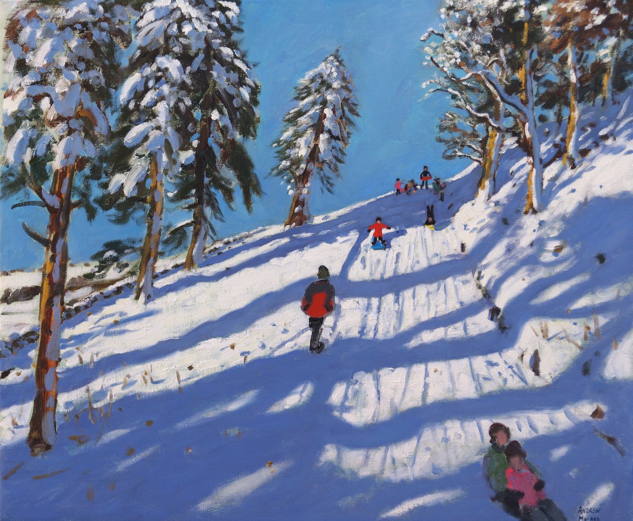 Sáňkování,Hillside, Glossop,2015 , od Andrew Macara