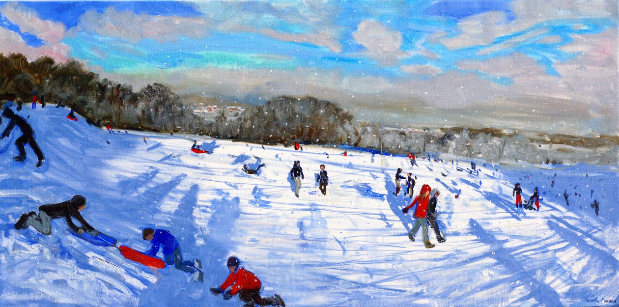 Sněhové přívaly, Allestree Park, Derby. od Andrew Macara