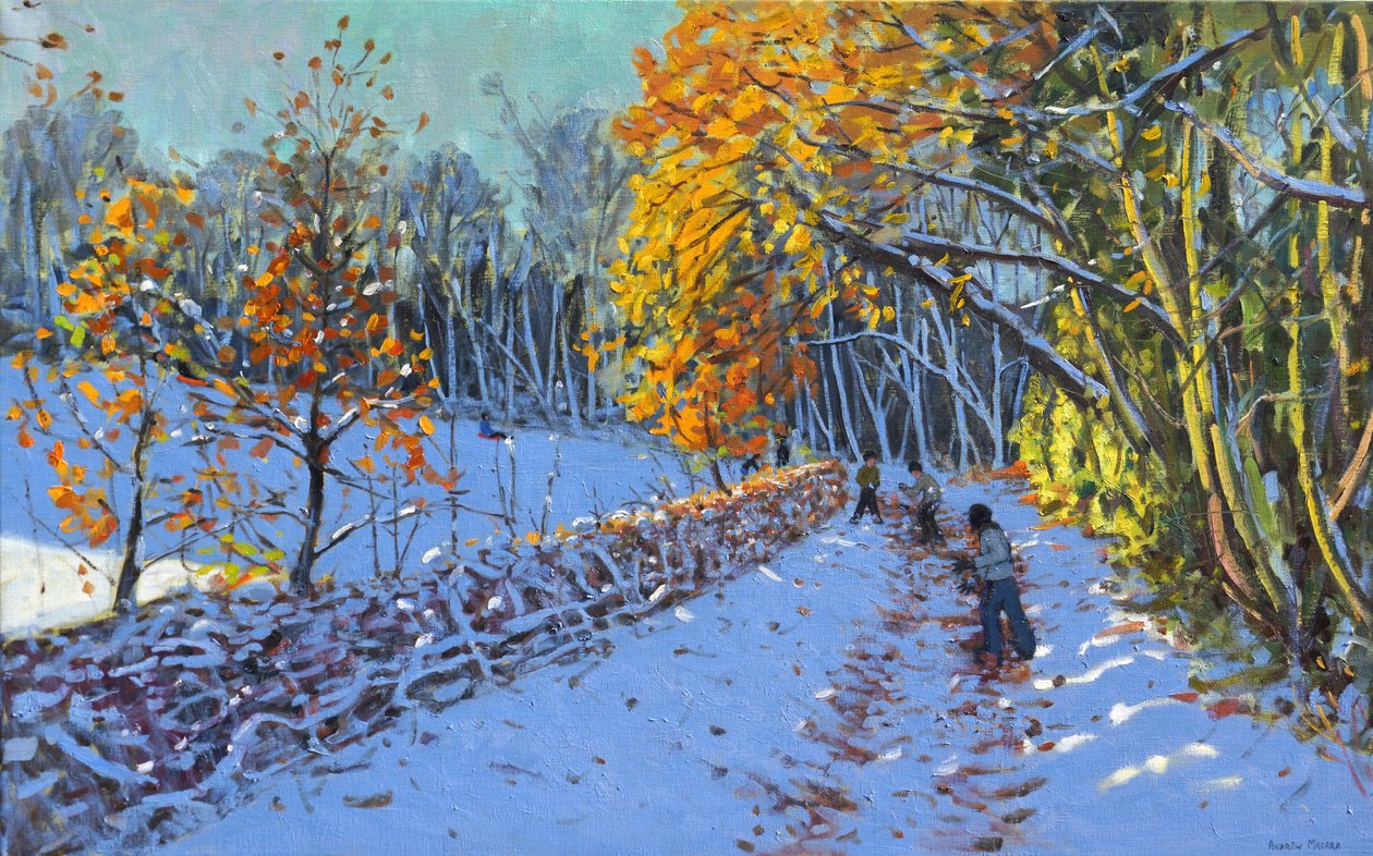 Koulovačka, Allestree Park, Derby, 2014 od Andrew Macara