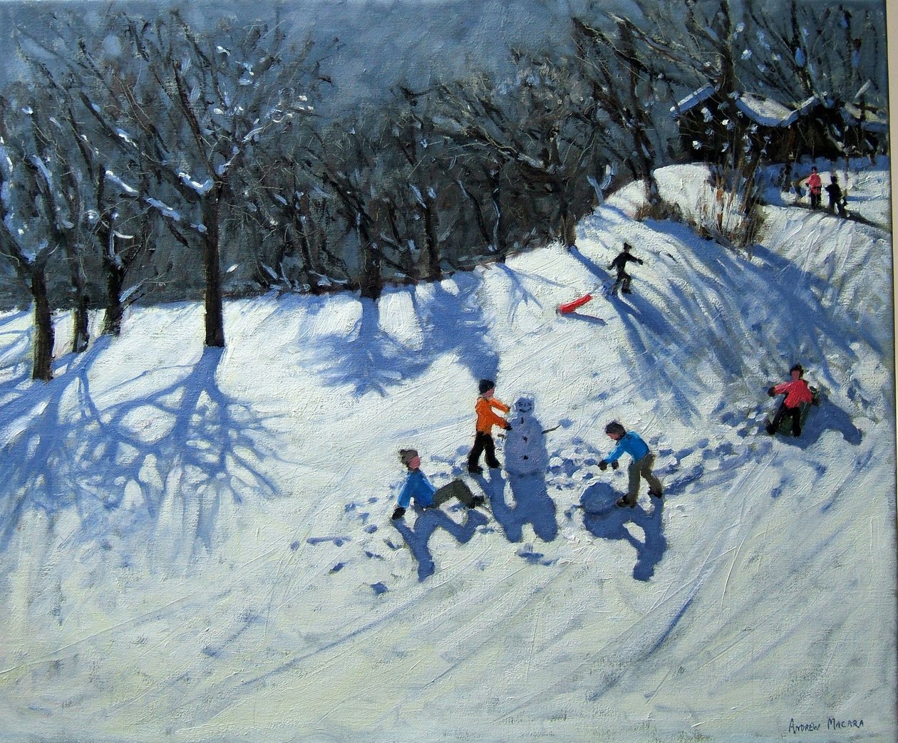 Sněhulák, Morzine, od Andrew Macara