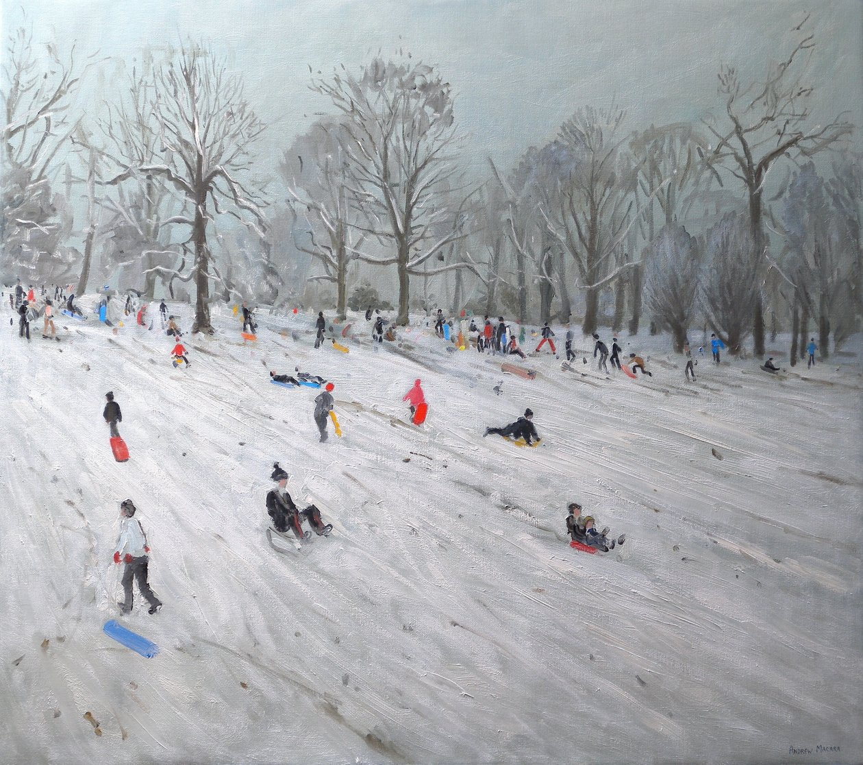 Sáňkování, Darley Park, 2009 (olej na plátně) od Andrew Macara