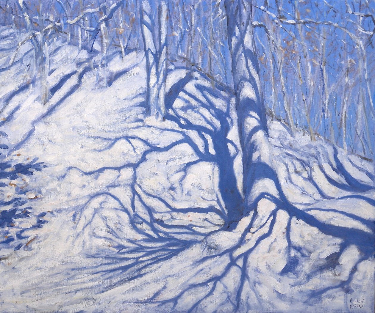 Winter Woodland, poblíž Courcheval, 2008 od Andrew Macara