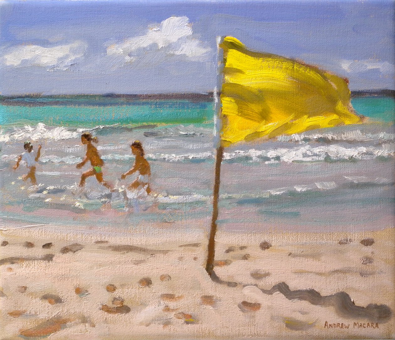 Žlutá vlajka, Barbados, 2010 od Andrew Macara