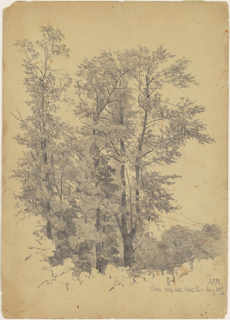 Oaks, Wolf Hill, Ulster County od Andrew Fisher Bunner