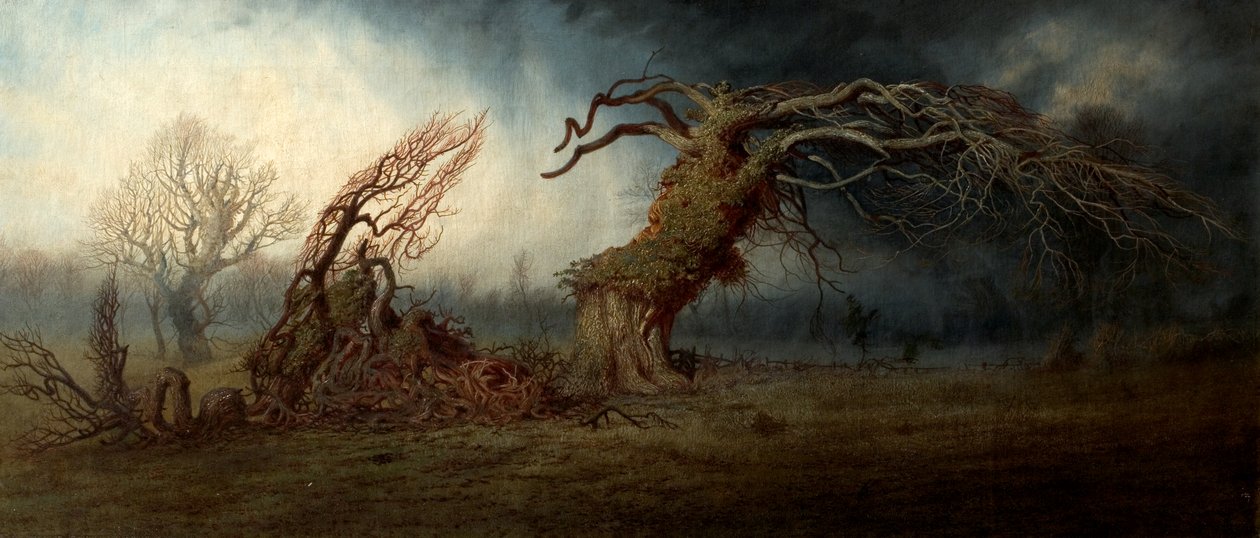 Odstřelený strom od Andrew MacCallum