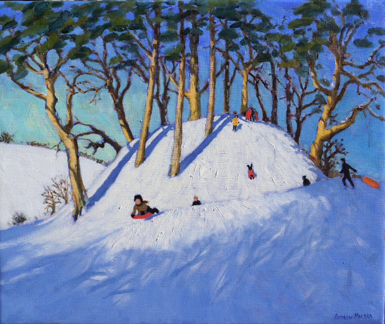 Vánoční sáňkování od Andrew Macara