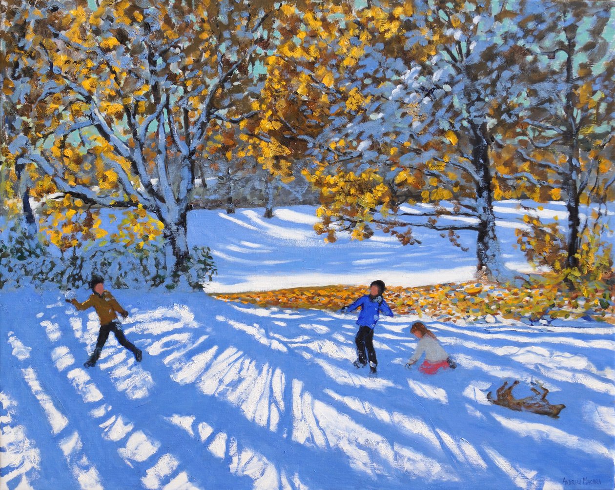Ranní sníh, park Allestree. 2017, od Andrew Macara