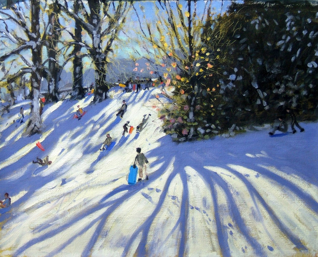 Brzy sníh, Darley Park od Andrew Macara