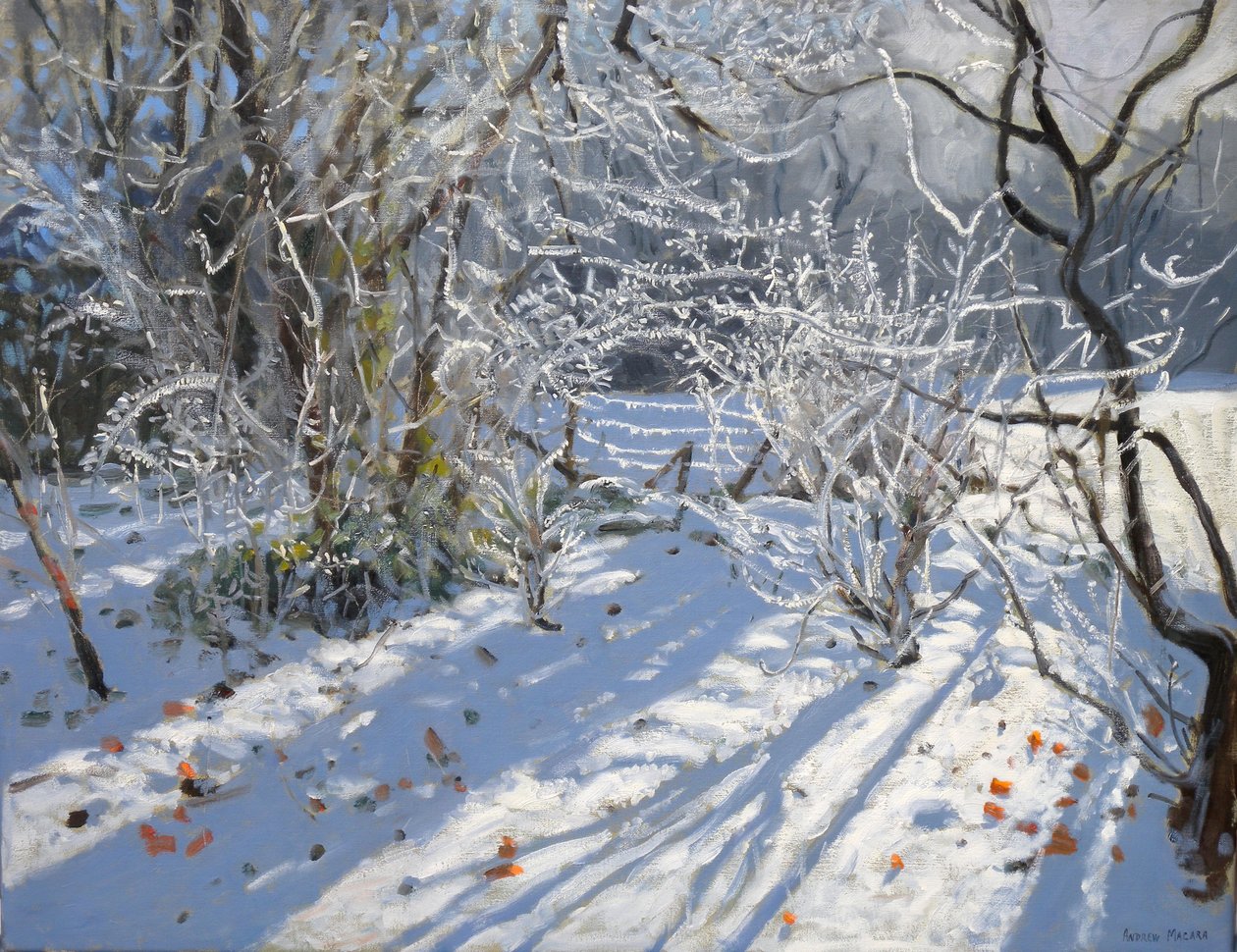Hoar Frost, 2011 od Andrew Macara