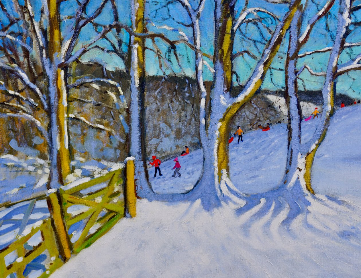 Sáňkování, Dam Lane, Derbyshire, 2017, od Andrew Macara