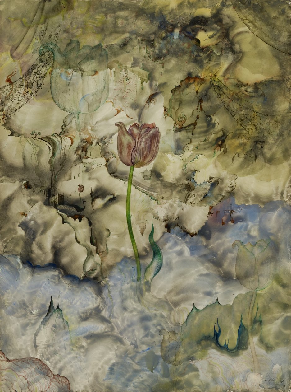 Emergence od Andrey Avinoff