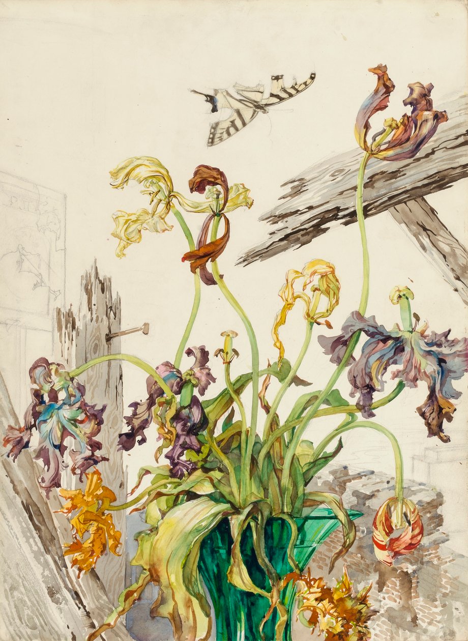Tulipány od Andrey Avinoff