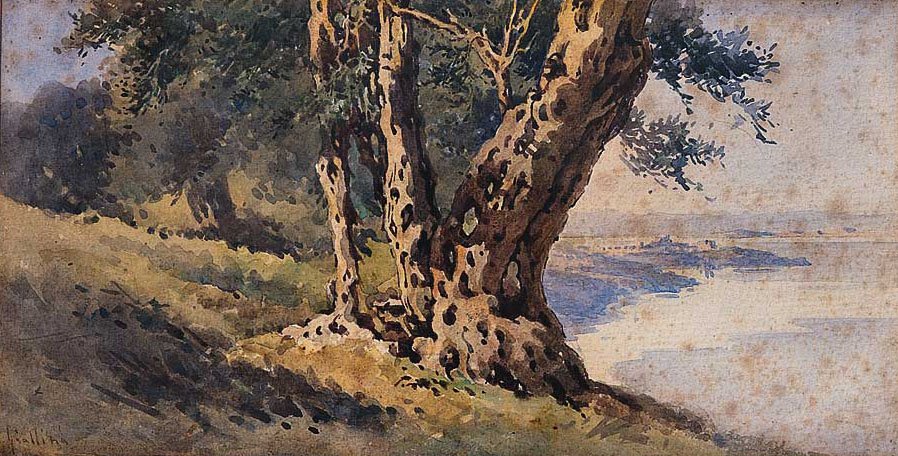  nAngličtina: Landscapen od Angelos Giallinas