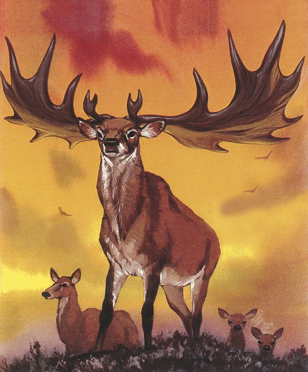 Obří po od Angus McBride