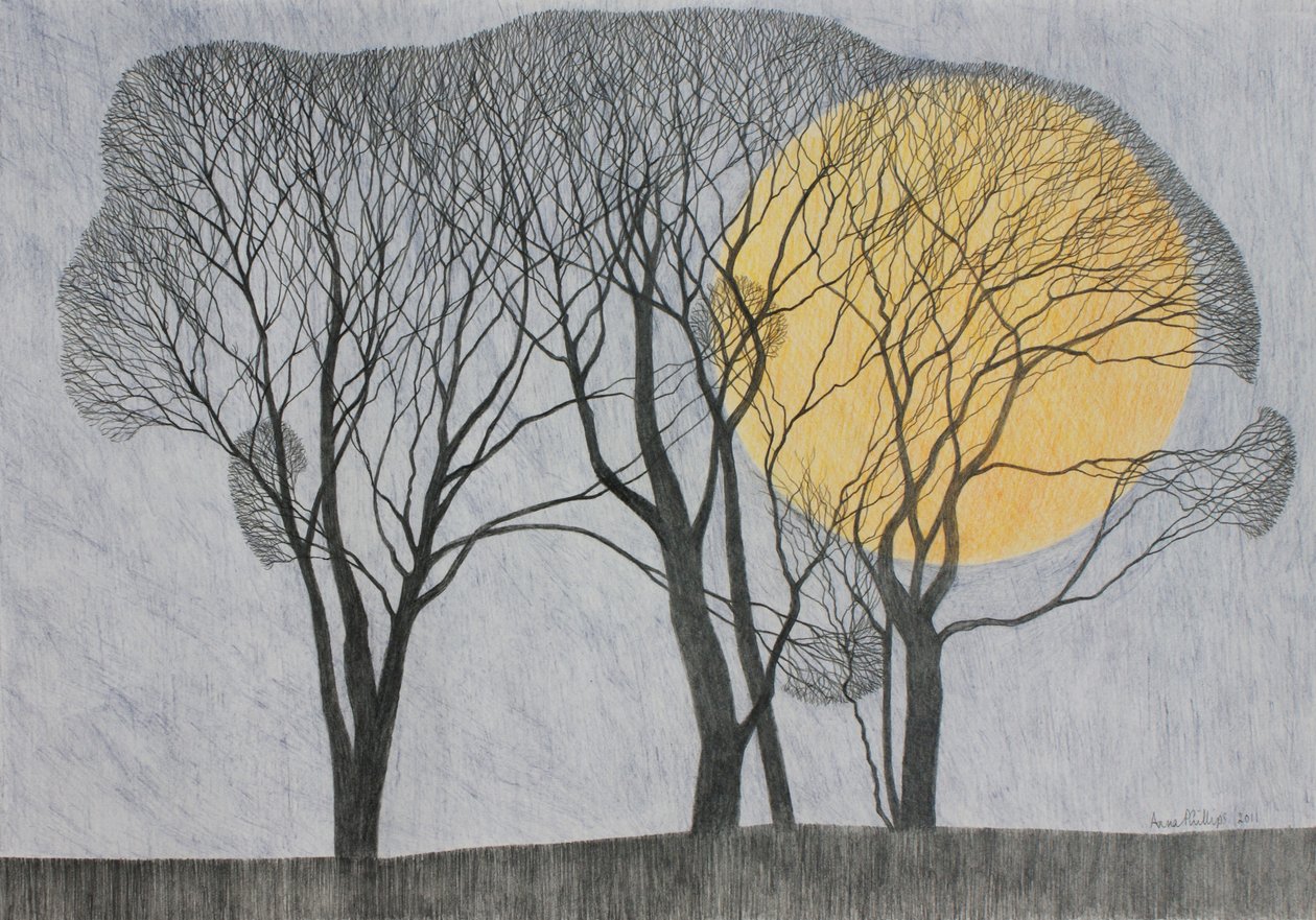 Megamoon, 2011 (barevná tužka na papíře) od Anna Phillips