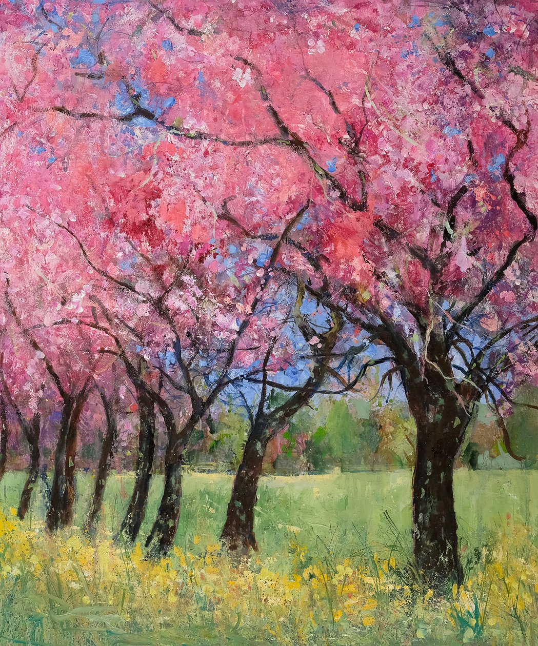 Cherry Blossom in the Meadow, 2022 (akryl) od Ann Oram