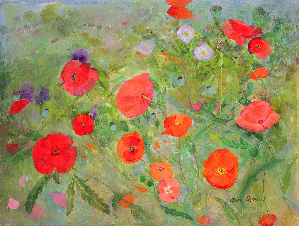 Arpeggiando, 1998 od Ann Patrick