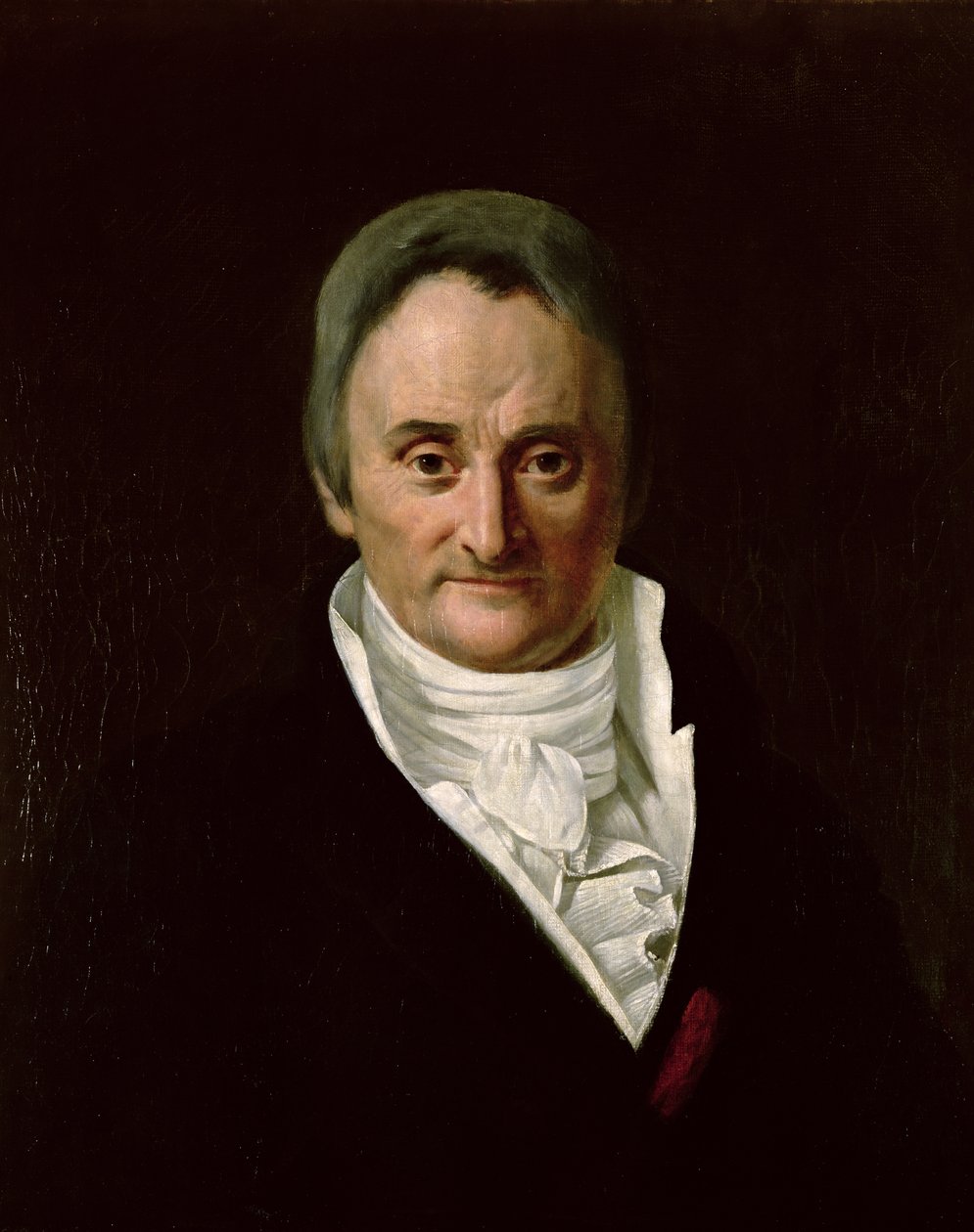 Philippe Pinel (1745–1826) od Anna M. Merimee