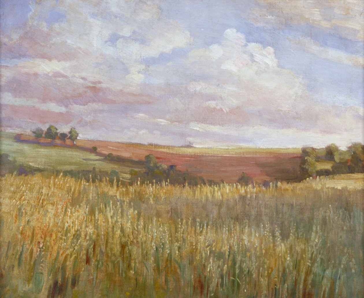 Kukuřičné pole, c1864-1930. od Anna Lea Merritt