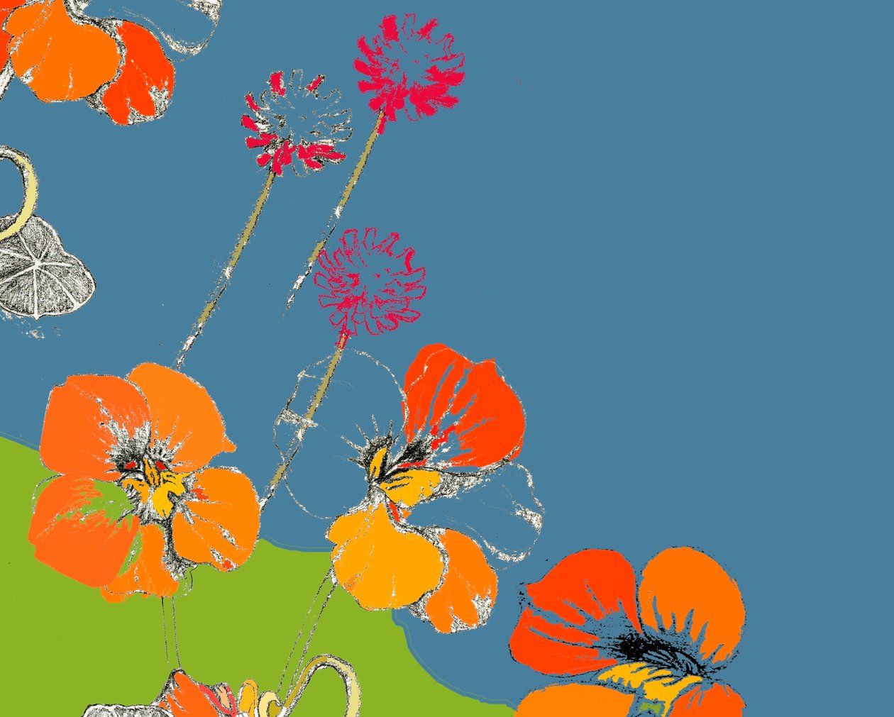 Nasturtium od Anna Platts
