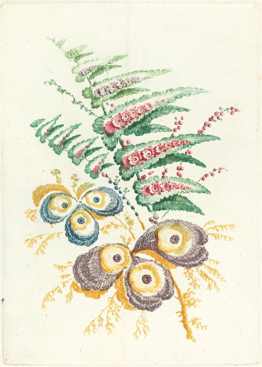 Fantastické květiny s květy ústřic, c. 1795. od Anne Allen