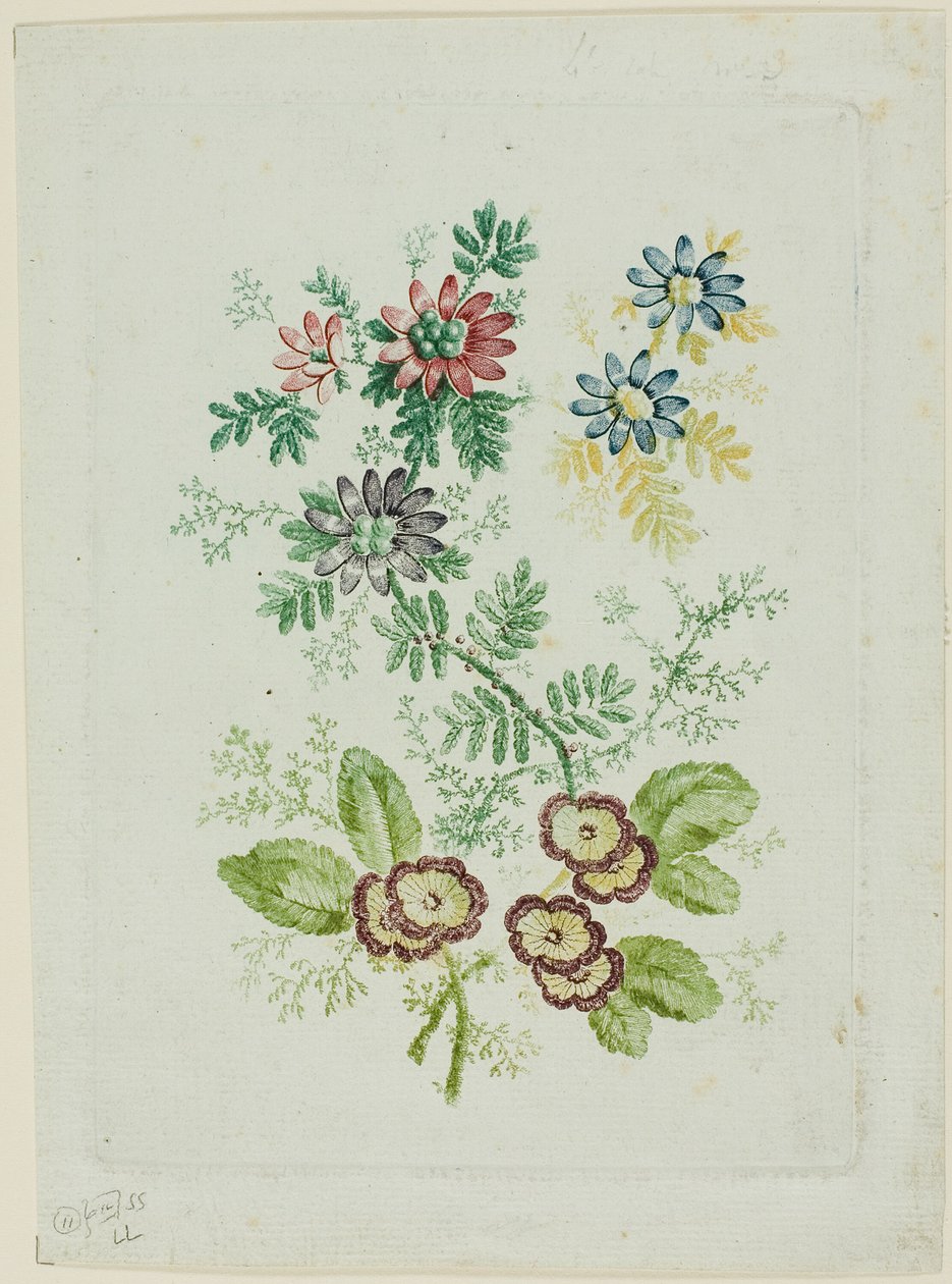 Květiny od Anne Allen