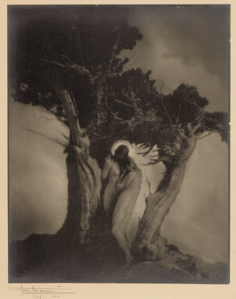 Srdce bouře od Anne W. Brigman