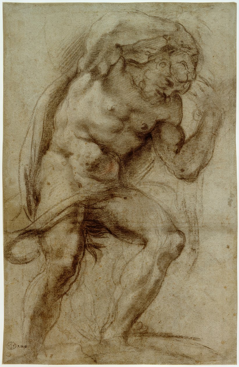 Herkules od Annibale Carracci
