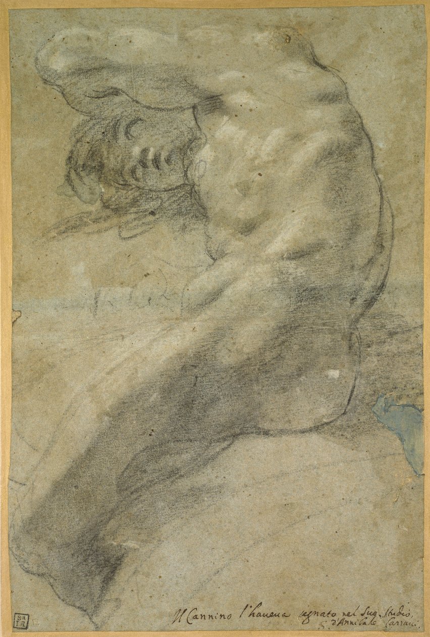 Studie nahého muže od Annibale Carracci