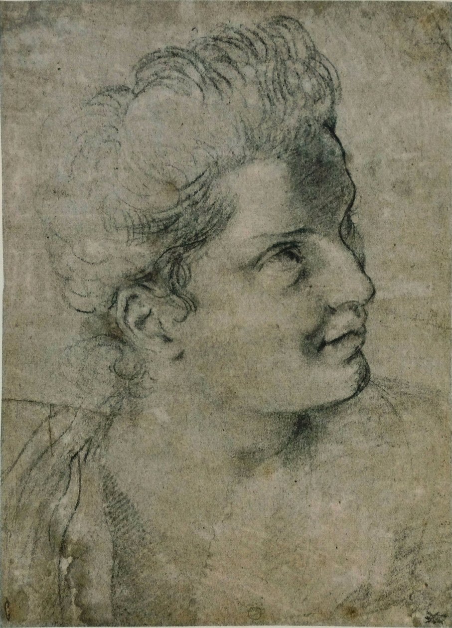 Hlava ženy od Annibale Carracci