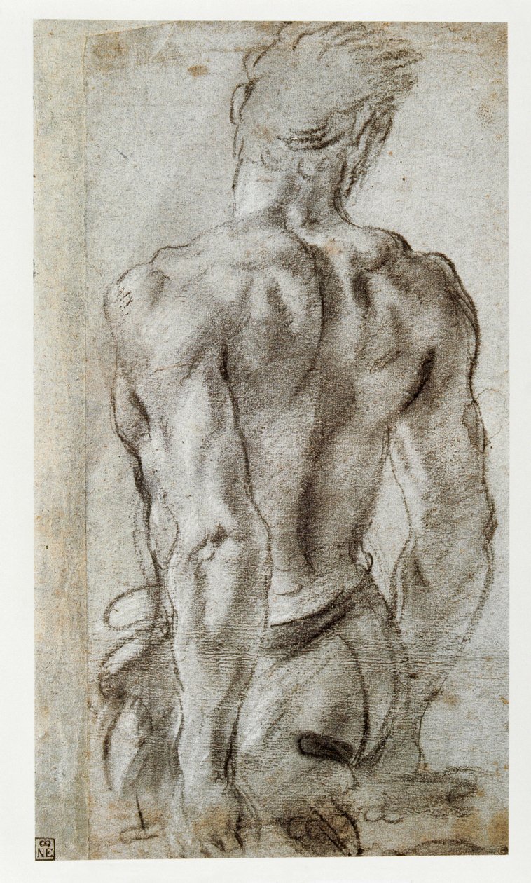 Studie mužské postavy ... od Annibale Carracci