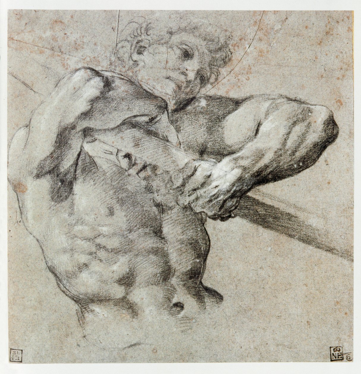 Studie mužské postavy ... od Annibale Carracci
