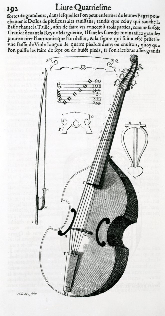 Viola, 1636 od Unbekannt Unbekannt