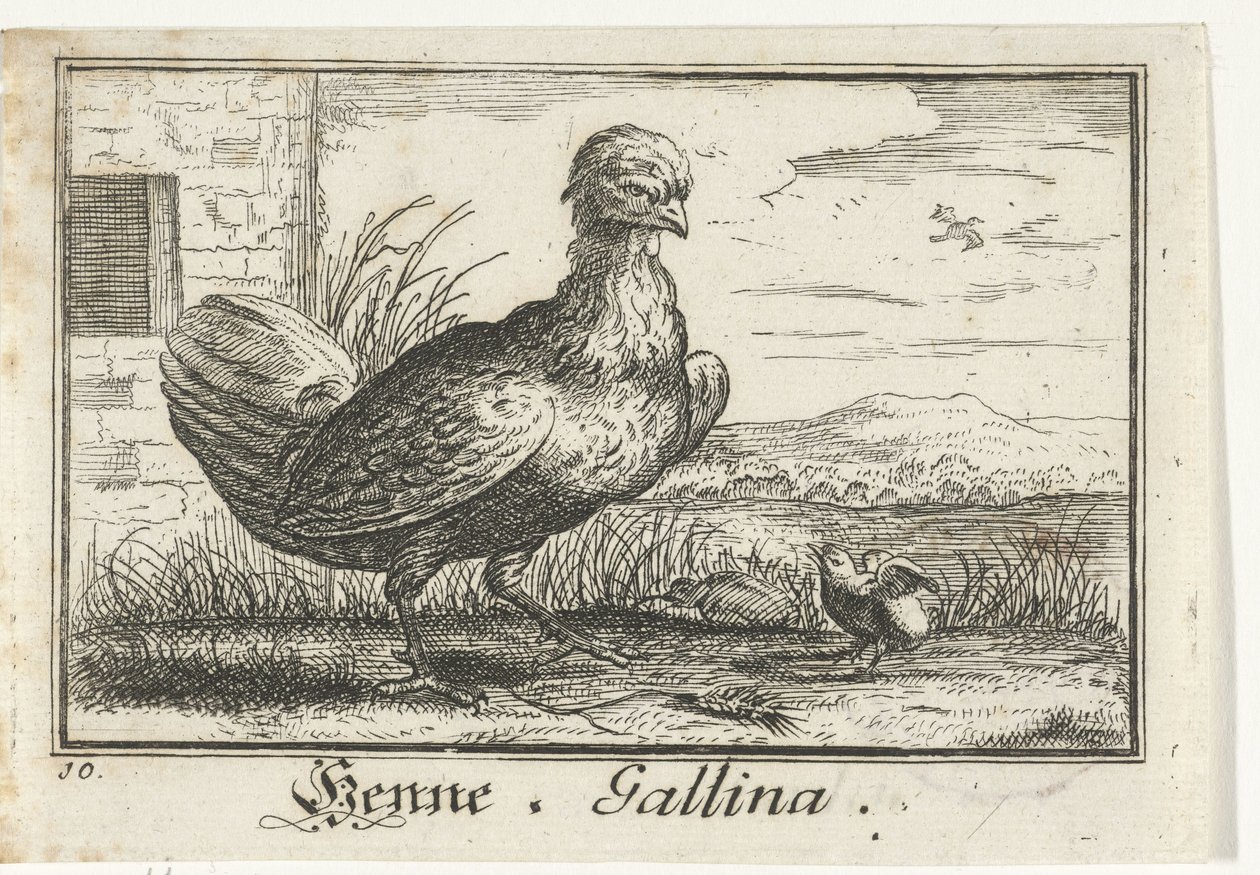 Kuře s kuřetem Henna, Gallina. (název na objektu) od Anonymous