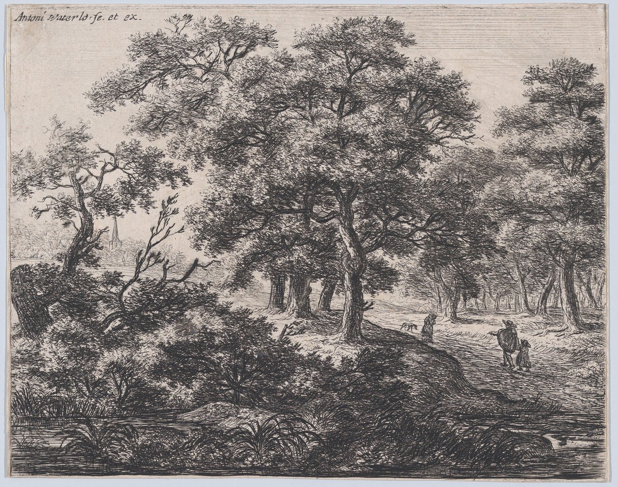 Čtyři stromy, 17. století. od Anthonie Waterloo