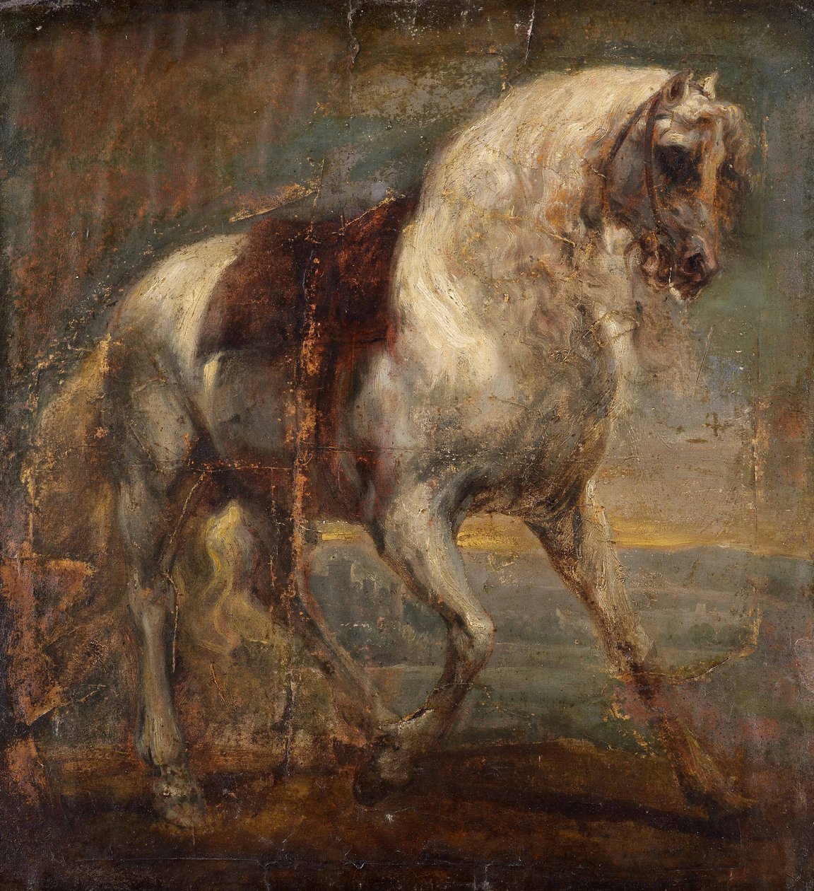 Šedý kůň od Anthony van Dyck