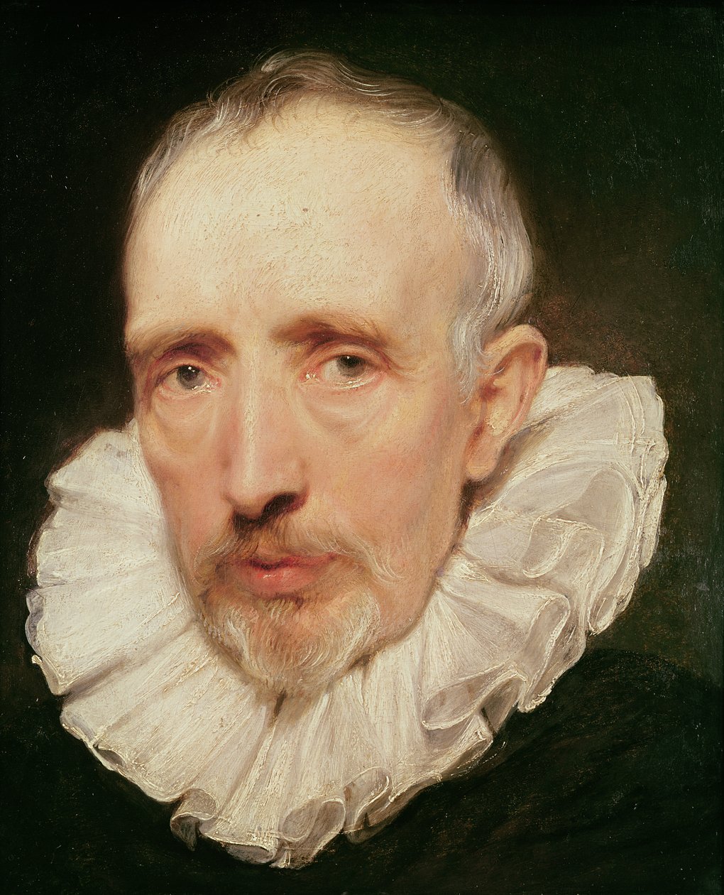 Portrét Cornelis van der Geest, kolem 1620 (olej na dubu) od Anthony van Dyck