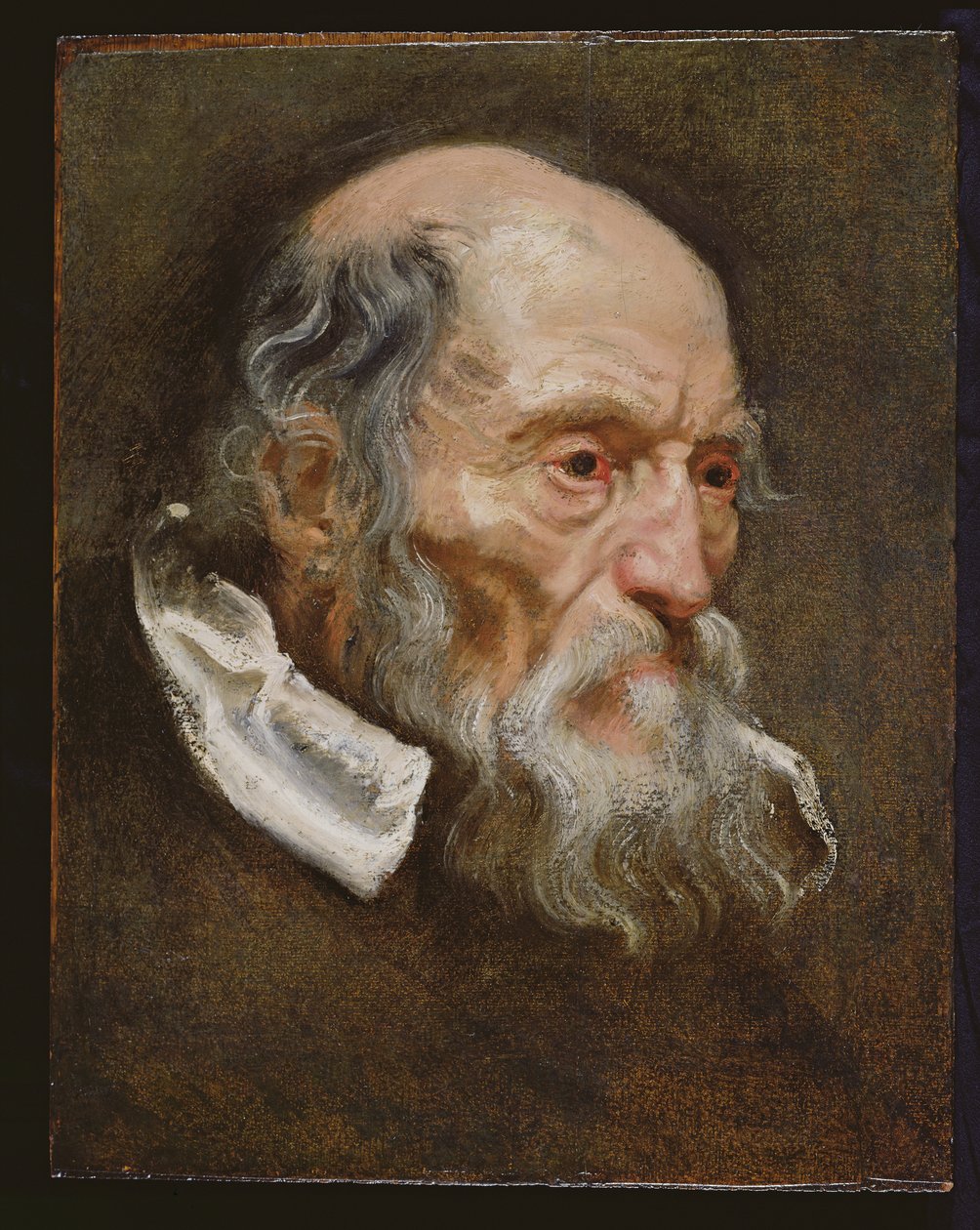 Portrét starého muže od Anthony van Dyck