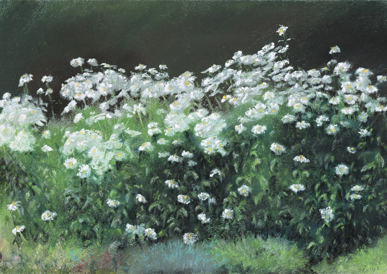 Shasta Daisies, 1992 od Anthony Rule